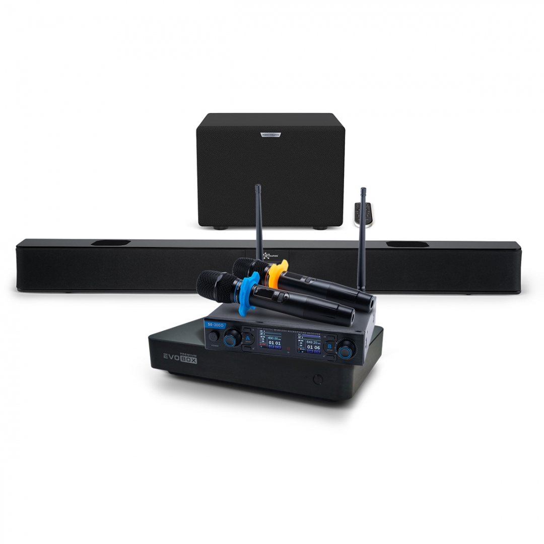 Hi-End караоке-система EVOBOX Premium + EvoSoundBar (саундбар с караоке) в Биробиджан