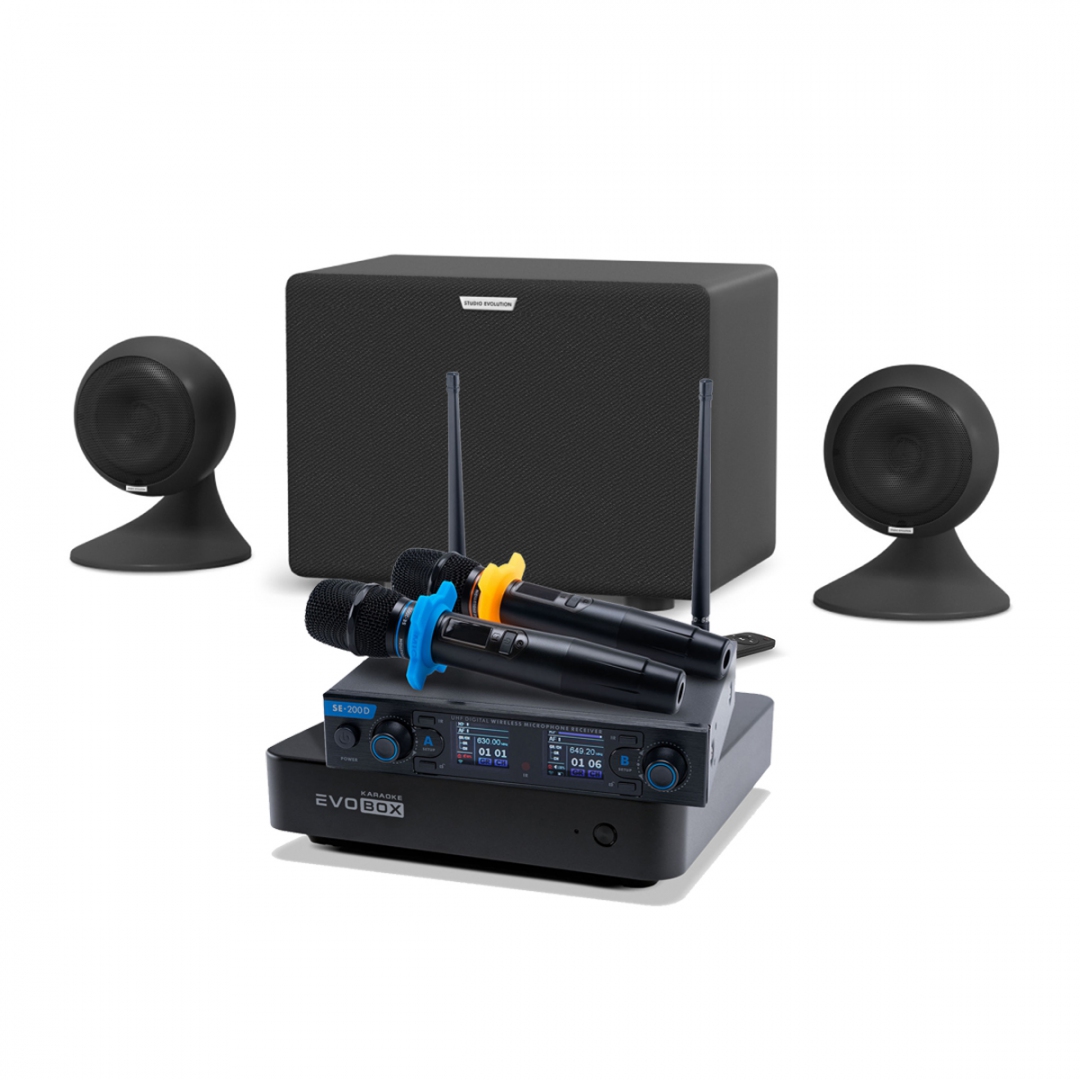 караоке-комплект EVOBOX + EvoSound Sphere 2.1 в Биробиджан