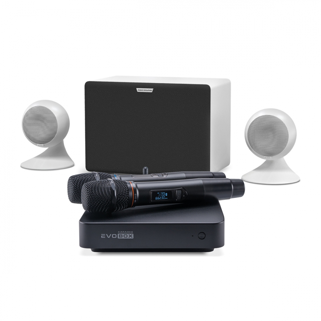караоке-комплект EVOBOX Classic + EvoSound Sphere 2.1 в Биробиджан
