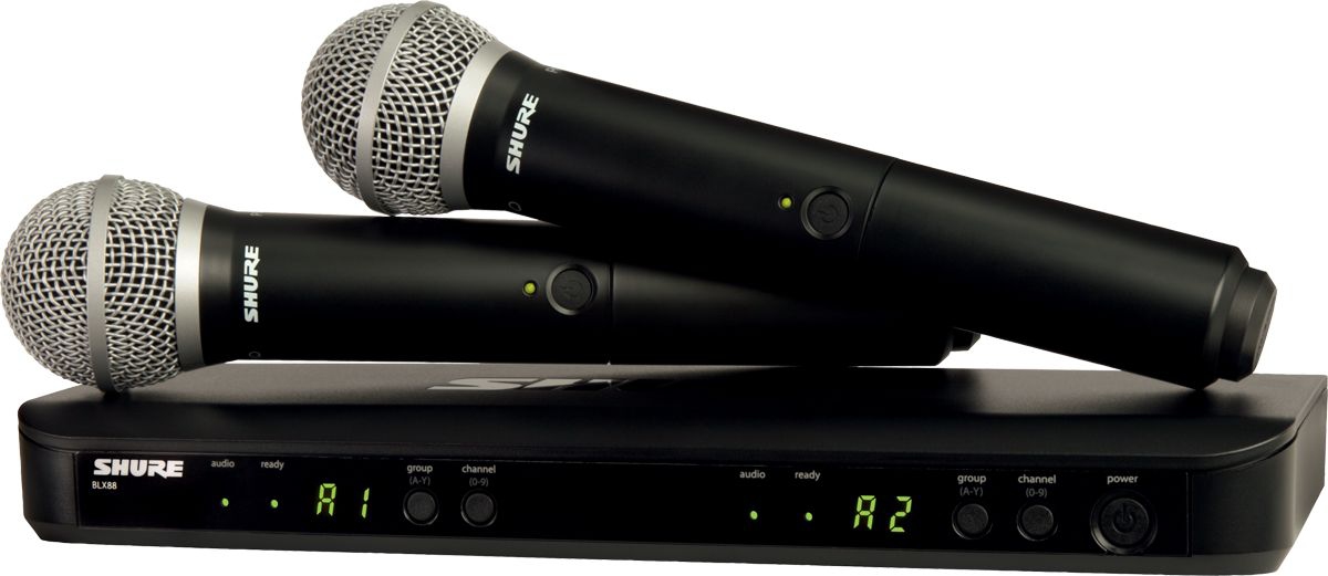 SHURE BLX288E/PG58 M17 вокальная радиосистема в Биробиджан