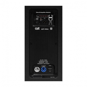 Активная акустическая система AST-310A в Биробиджан
