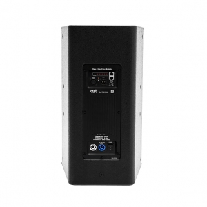 Активная акустическая система AST-310A в Биробиджан