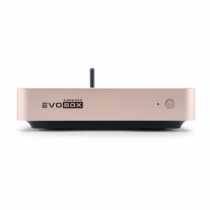 EVOBOX Plus караоке-система для дома в Биробиджан