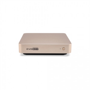 EVOBOX с микрофонами в Биробиджан
