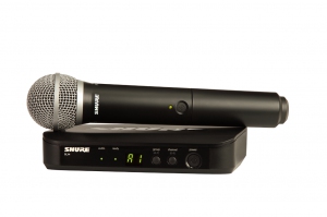 SHURE BLX24E/PG58 M17 вокальная радиосистема в Биробиджан